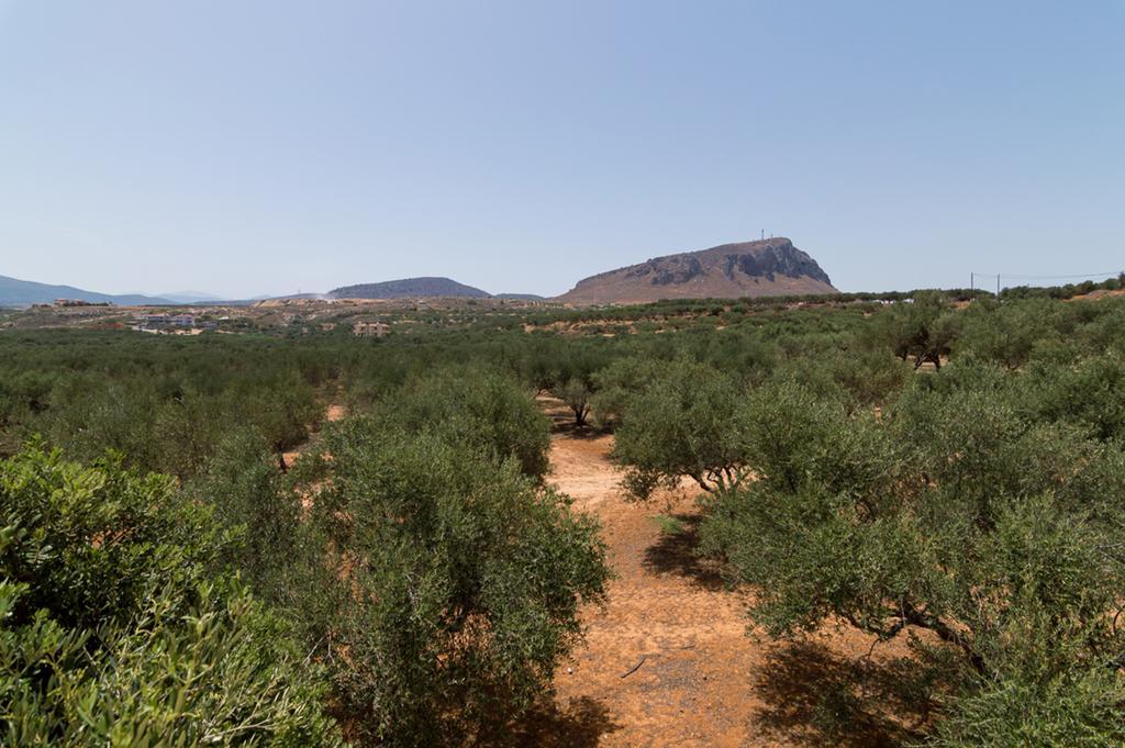 Athena Villas Olive Grove & Estate Гувес Екстер'єр фото